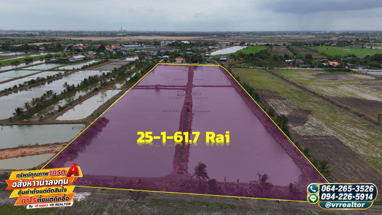 ขายที่ดินผังสีม่วง นิคมเวลโกวร์ 25 ไร่ ไร่ละ 4.8 ล้าน – รูปที่ 3