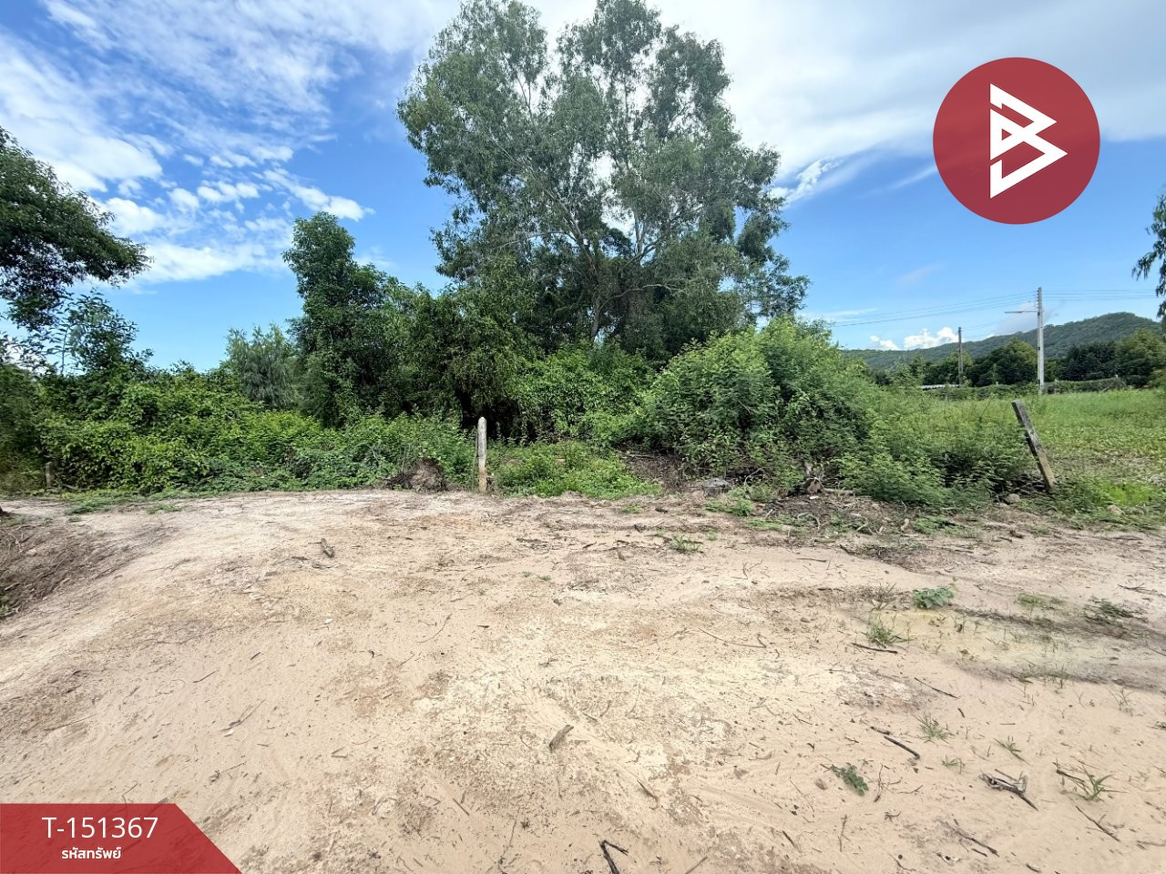 Land for sale, area 3 rai 1 ngan 5 sq m, Tha Mai, Chanthaburi. – รูปที่ 3