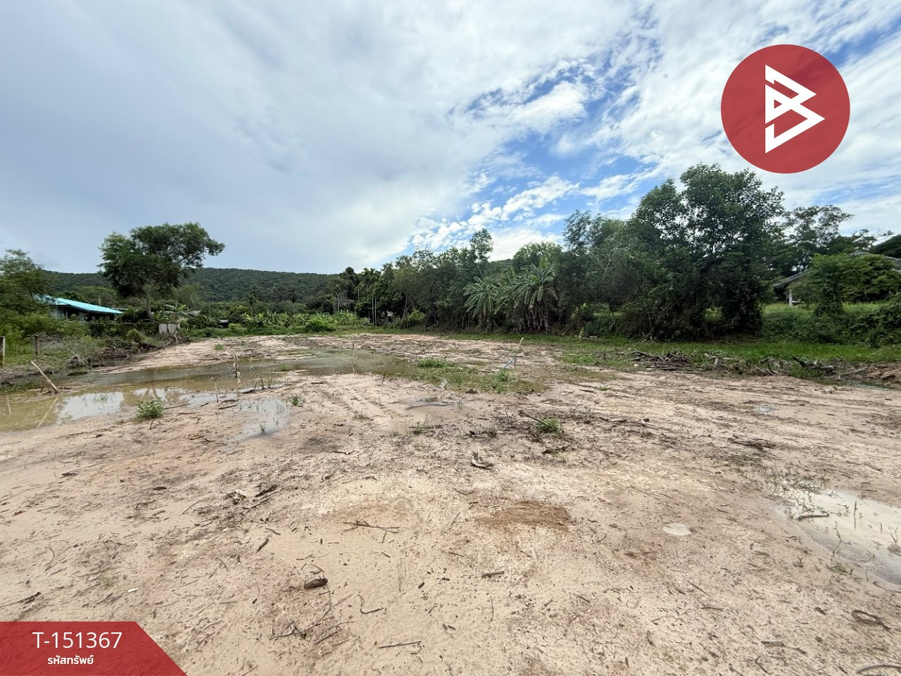 Land for sale, area 3 rai 1 ngan 5 sq m, Tha Mai, Chanthaburi. – รูปที่ 2
