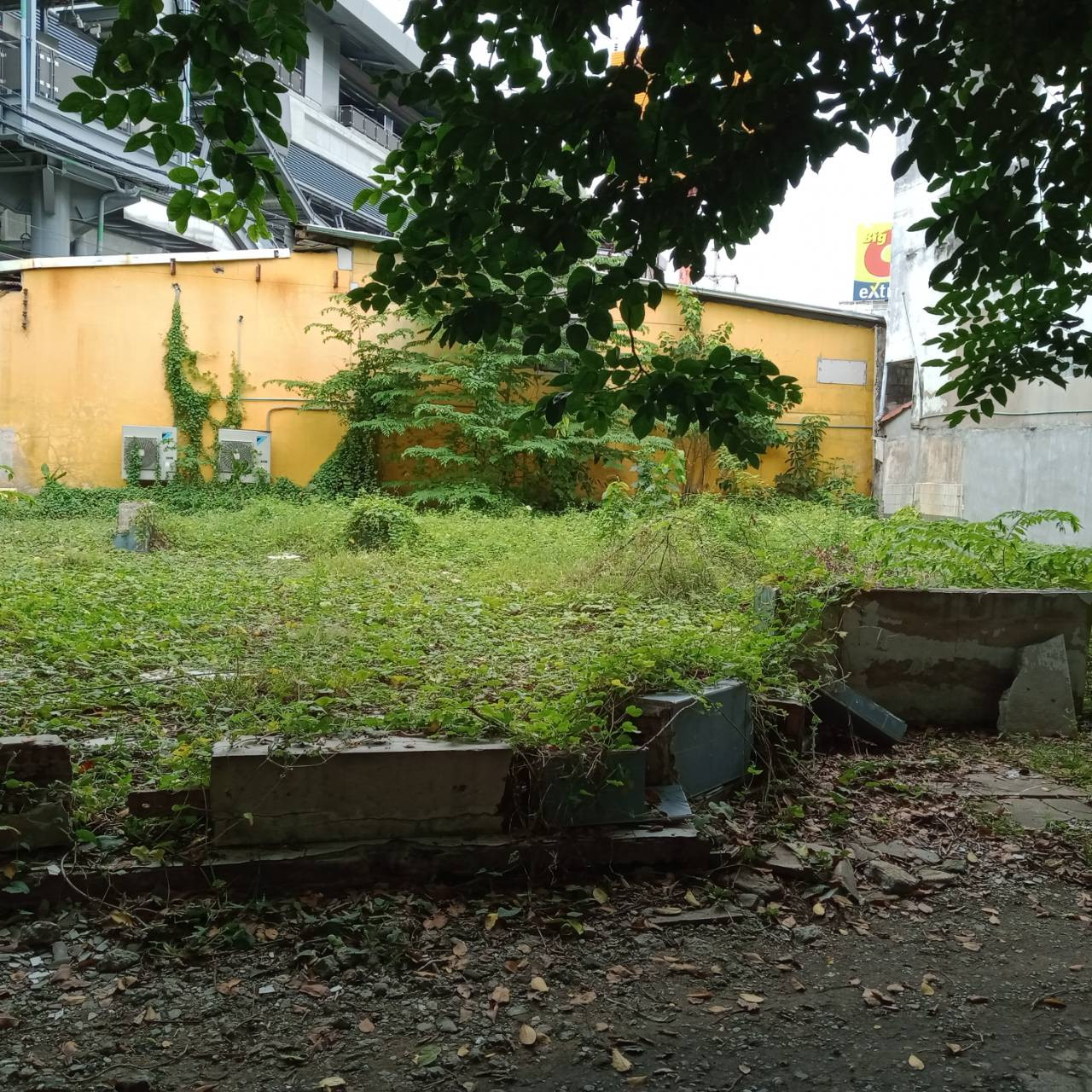 ให้เช่า, ขาย ที่ดินย่านรามอินทรา ติดถนนใหญ่ ติดสถานีวัดลาดปลาเค้า รถไฟฟ้าสายสีชมพู ใกล้ Big C – รูปที่ 3