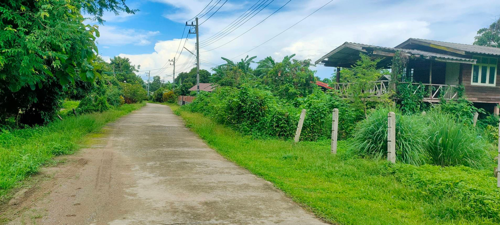 ขายที่ดินสวยทำเลทอง อำเภอพาน เชียงราย เหมาะสร้างบ้านพักผ่อน หรือเก็งกำไร! – รูปที่ 3