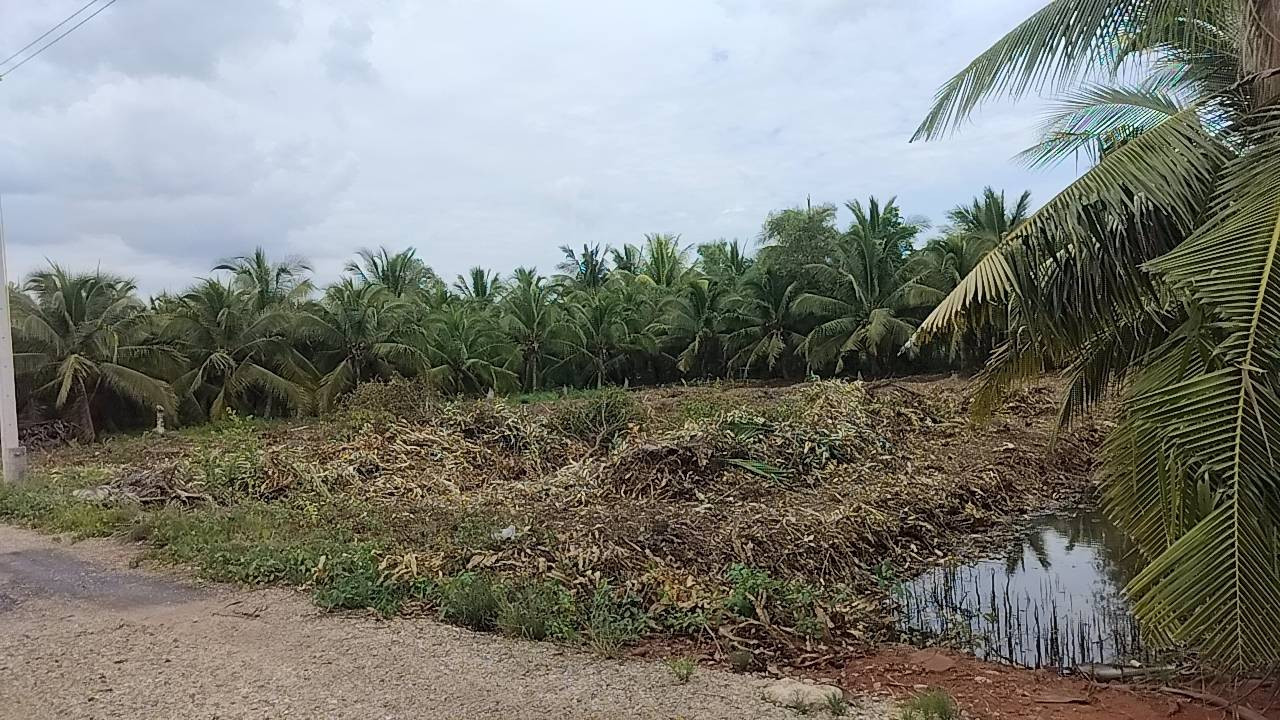 Land for sale, house divided into plots, near Bangkok, Samut Songkhram Province, 197 sq m., price 950,000 baht. – รูปที่ 3