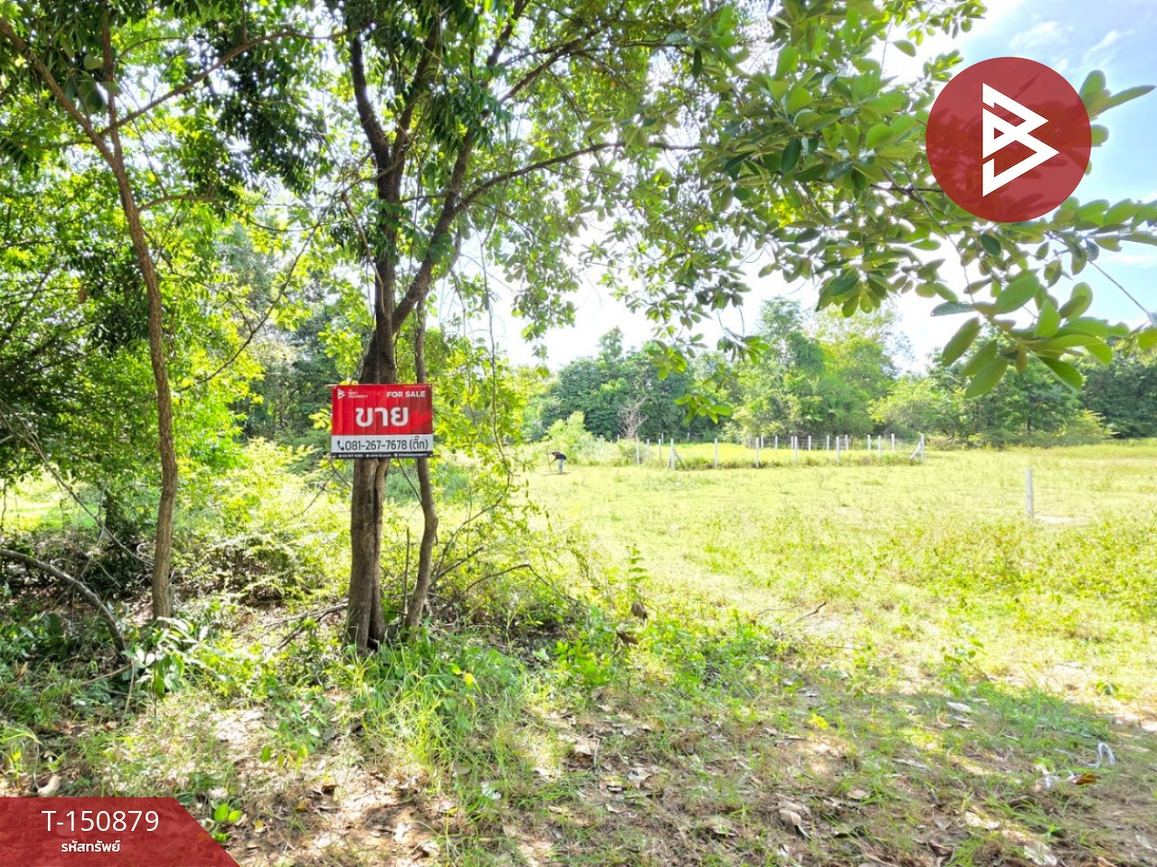 ขายที่ดิน เนื้อที่ 79 ตร.วา สีแก้ว ร้อยเอ็ด ขายที่ดิน เนื้อที่ 79 ตร.วา สีแก้ว ร้อยเอ็ด