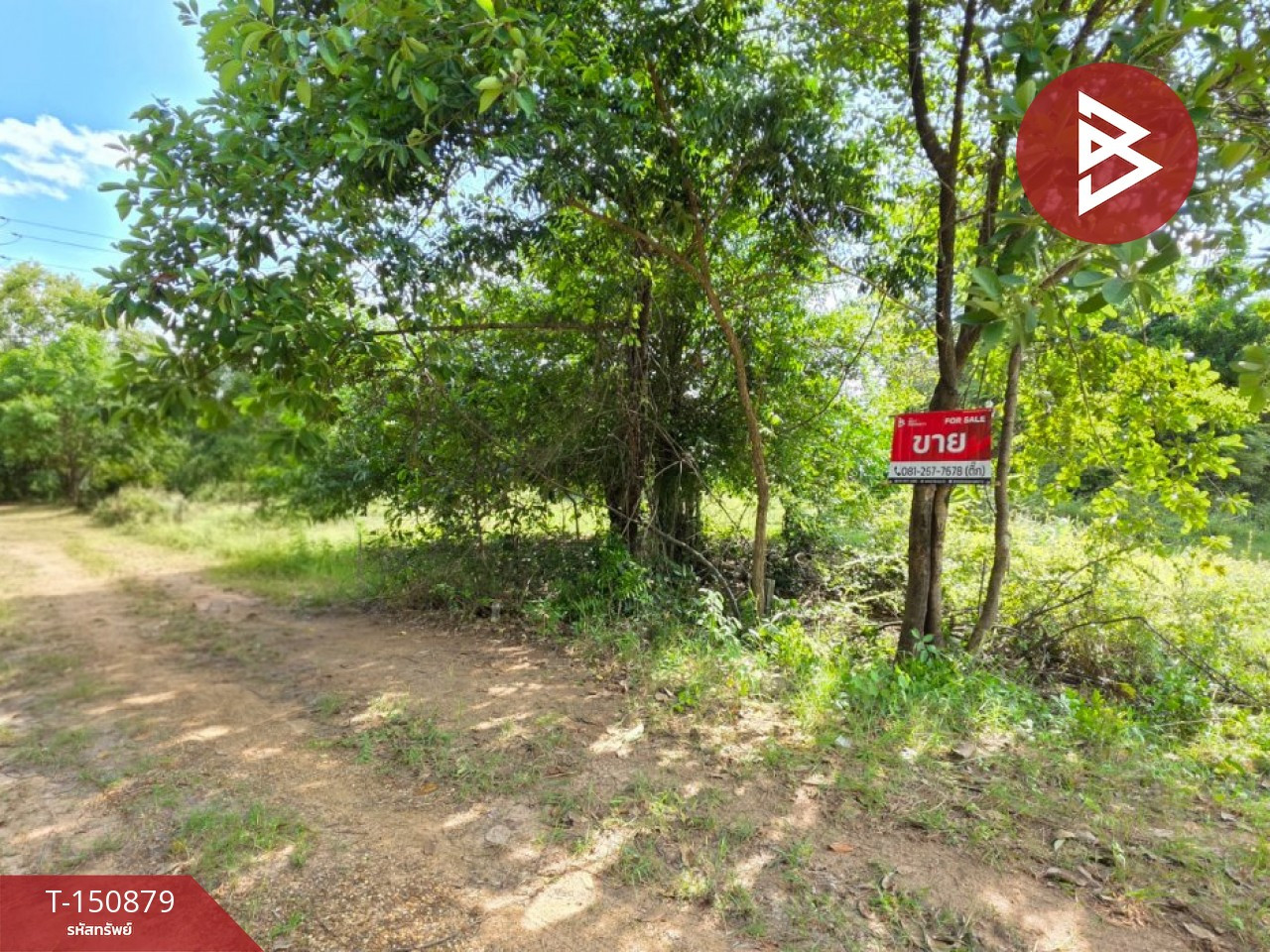 ขายที่ดิน เนื้อที่ 79 ตร.วา สีแก้ว ร้อยเอ็ด – รูปที่ 2