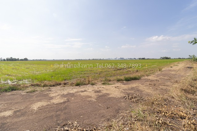 Empty land for sale (Currently it is rice field), area 20 rai, beautiful square shape, Wang Phatthana Subdistrict, Bang Sai District, Phra Nakhon Si Ayutthaya Province. Empty land for sale (Currently it is rice field), area 20 rai, beautiful square shape, Wang Phatthana Subdistrict, Bang Sai District, Phra Nakhon Si Ayutthaya Province.