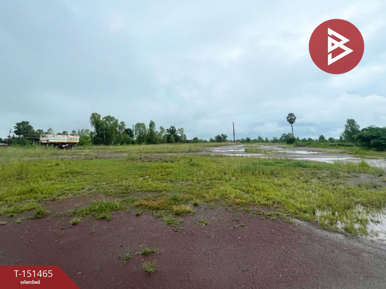 Land for sale, area 6 Rai 57.0 Square Wah, Phang Khon, Sakon Nakhon. Land for sale, area 6 Rai 57.0 Square Wah, Phang Khon, Sakon Nakhon.
