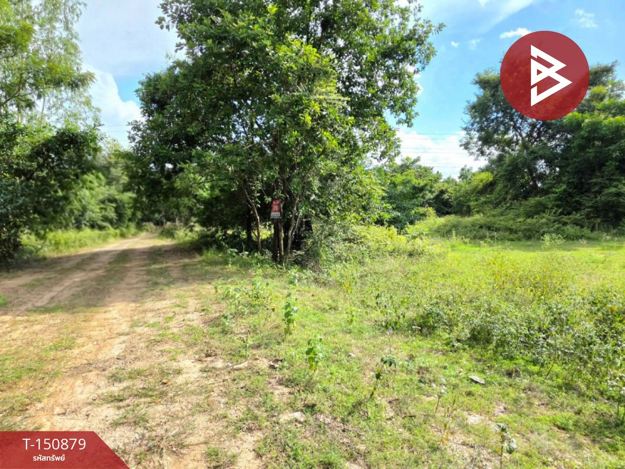 ขายที่ดิน เนื้อที่ 79 ตร.วา สีแก้ว ร้อยเอ็ด – รูปที่ 4
