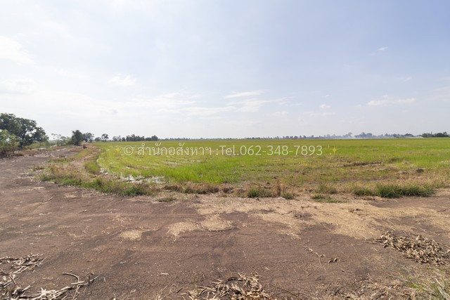 Empty land for sale (Currently it is rice field), area 20 rai, beautiful square shape, Wang Phatthana Subdistrict, Bang Sai District, Phra Nakhon Si Ayutthaya Province. – รูปที่ 4