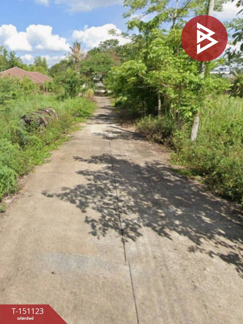 ขายที่ดิน เนื้อที่ 100 ตร.วา บ้านดู่ เชียงราย – รูปที่ 4