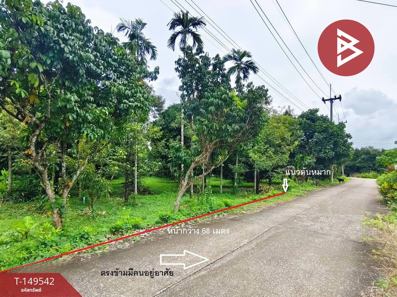 ขายที่ดินพร้อมสวน เนื้อที่ 1 ไร่ 3 งาน 82 ตร.วา มะขาม จันทบุรี – รูปที่ 4
