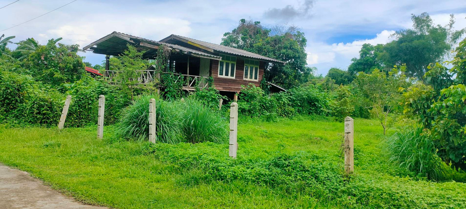 ขายที่ดินสวยทำเลทอง อำเภอพาน เชียงราย เหมาะสร้างบ้านพักผ่อน หรือเก็งกำไร! – รูปที่ 2