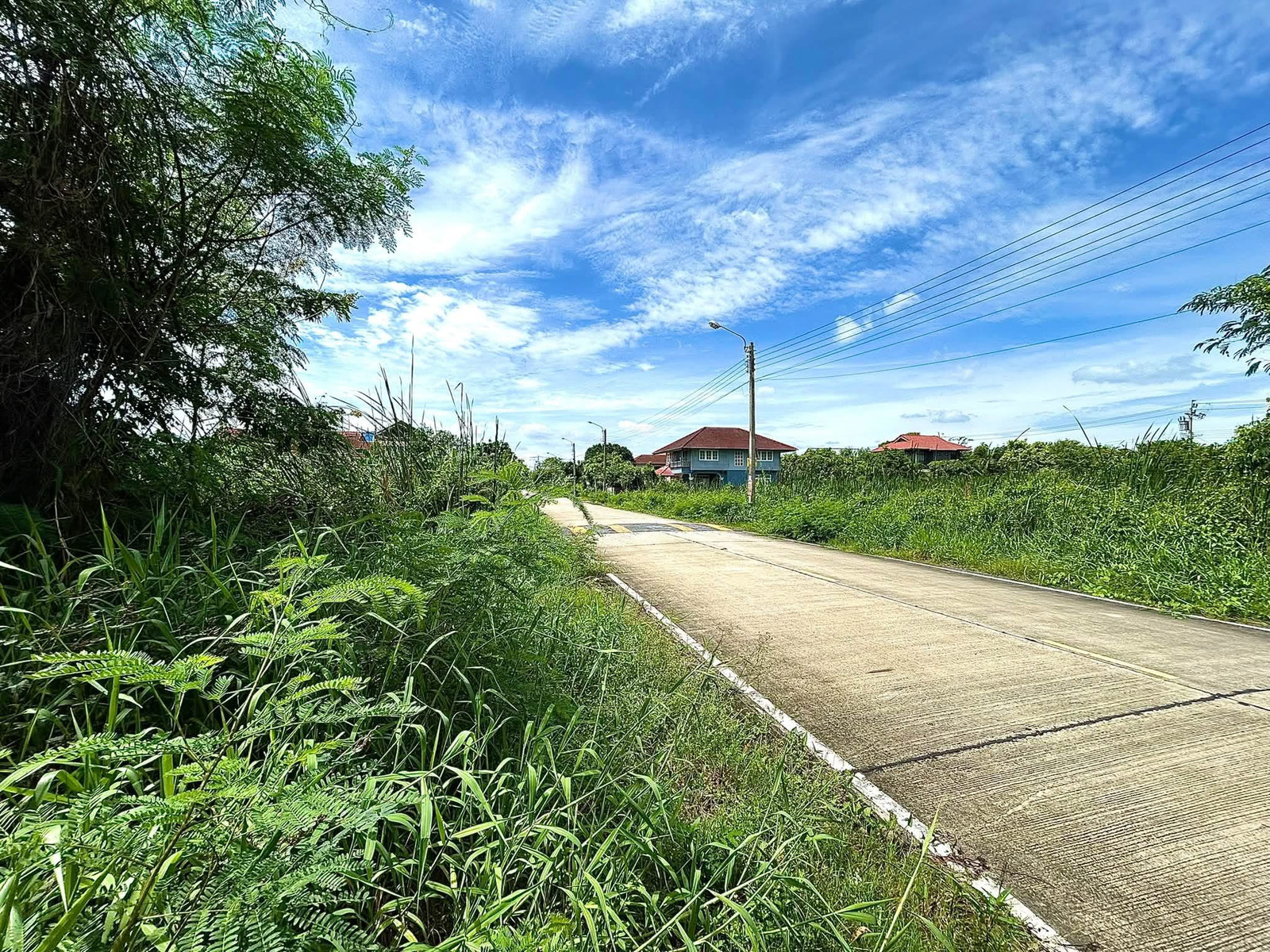ขายด่วน!! ที่ดินเปล่าถมแล้ว 75 ตร.ว. (ซอยนุ่มประสงค์ 2) ใกล้ ม.มหิดลศาลายา โลตัสบางใหญ่ ทางด่วนประจิมรัถยา ต.ศาลากลาง อ.บางกรวย จ.นนทบุรี  – รูปที่ 2