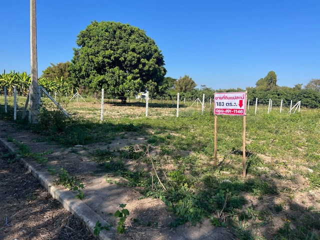 🌿 Empty land for sale, 182 sq m, Soi Rong Wua 📍 Nam Bo Luang Subdistrict, San Pa Tong District, Chiang Mai Province – รูปที่ 2
