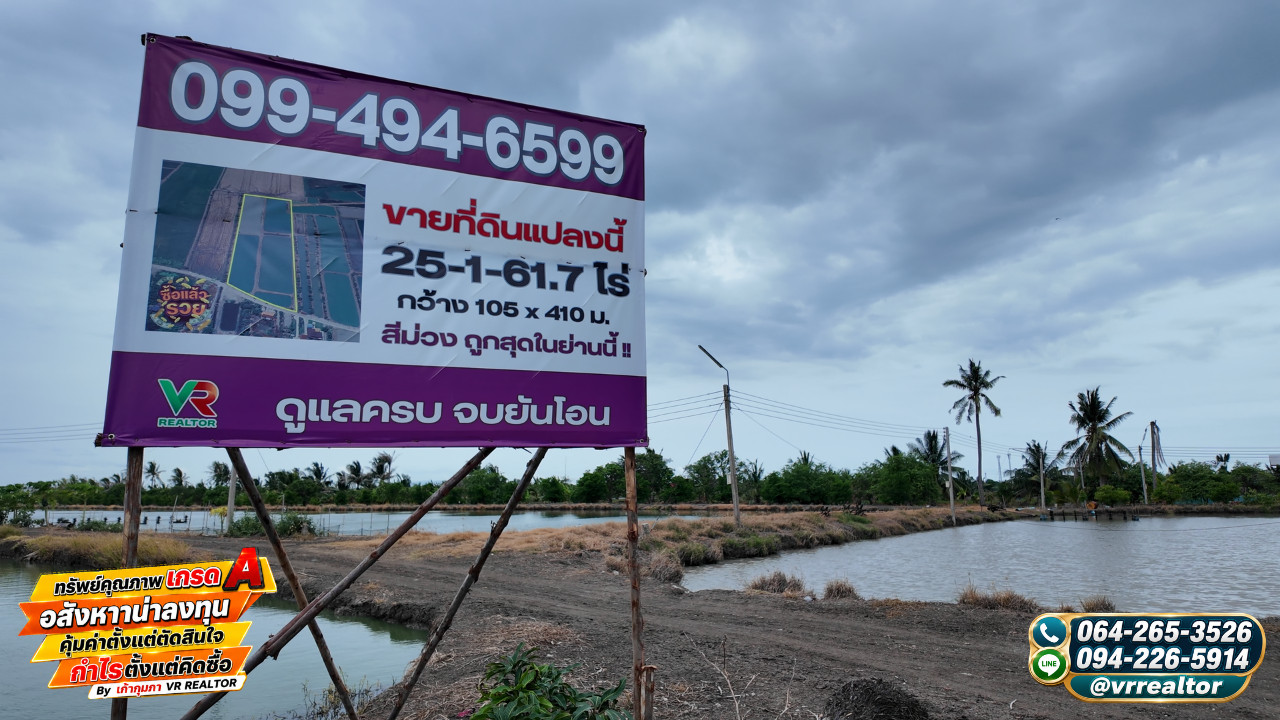 ขายที่ดินผังสีม่วง นิคมเวลโกวร์ 25 ไร่ ไร่ละ 4.8 ล้าน – รูปที่ 4