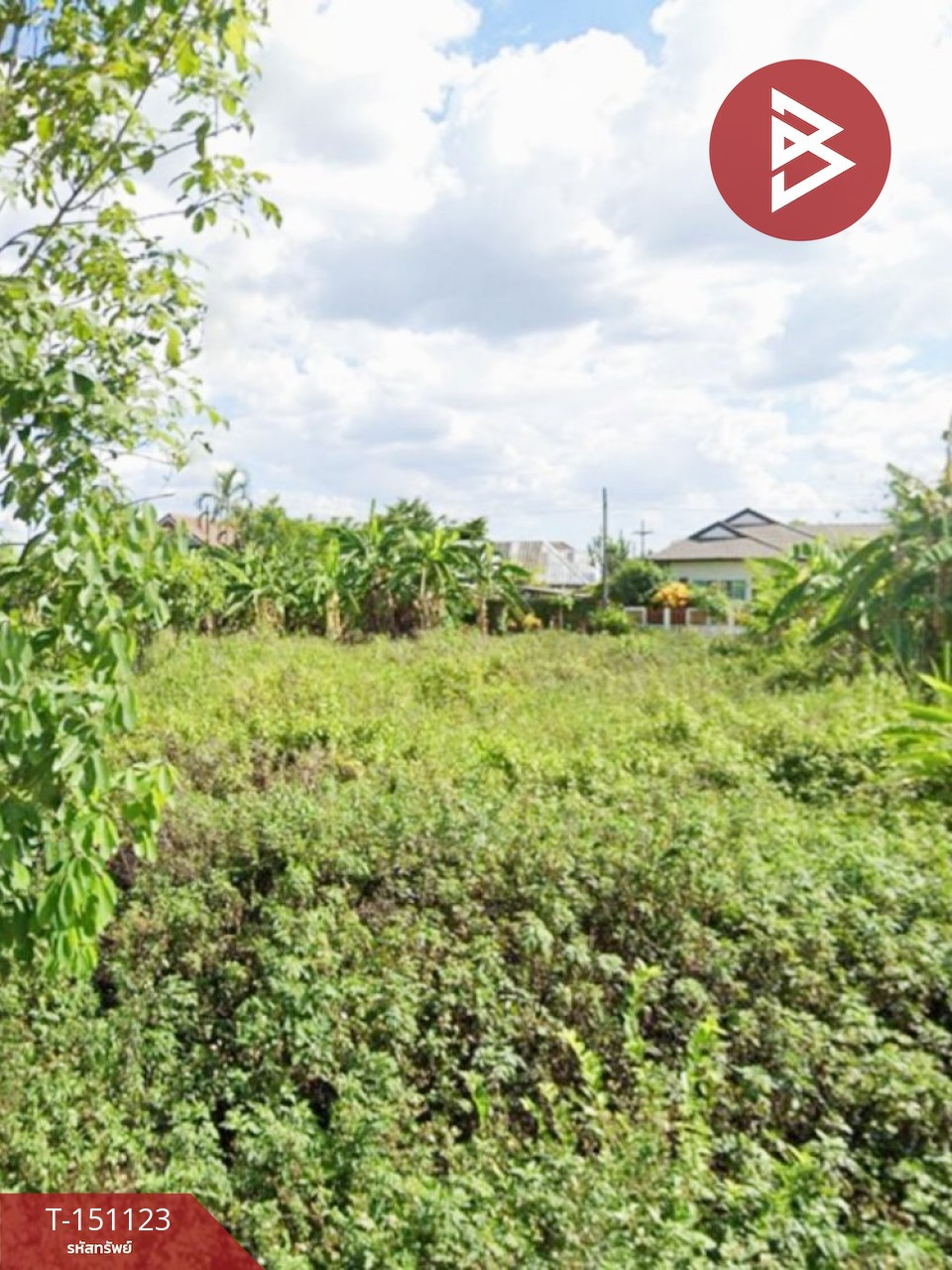 ขายที่ดิน เนื้อที่ 100 ตร.วา บ้านดู่ เชียงราย ขายที่ดิน เนื้อที่ 100 ตร.วา บ้านดู่ เชียงราย