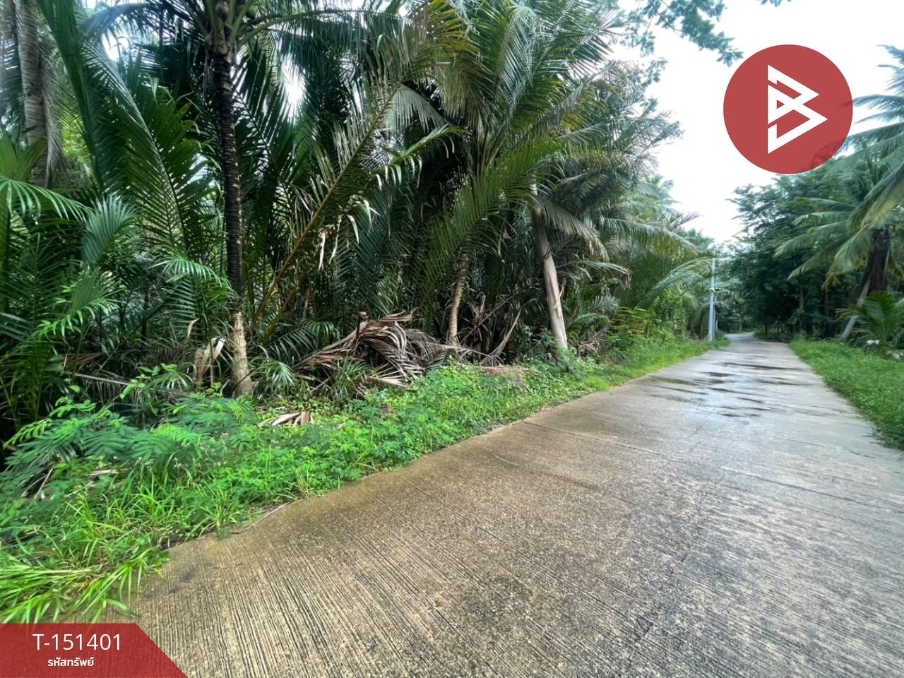 ขายที่ดิน เนื้อที่ 4 ไร่ 50 ตร.วา บ้านปรก สมุทรสงคราม – รูปที่ 3