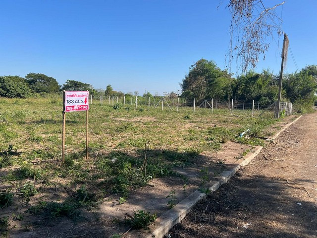 🌿 Empty land for sale, 182 sq m, Soi Rong Wua 📍 Nam Bo Luang Subdistrict, San Pa Tong District, Chiang Mai Province – รูปที่ 3