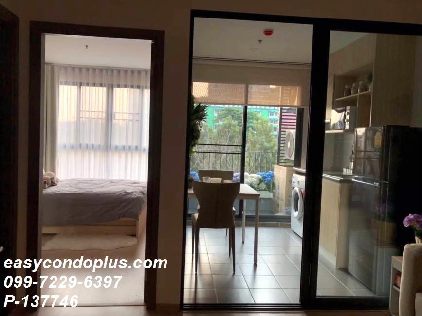 💥 [𝐏-𝟏𝟑𝟕𝟕𝟒𝟔] FOR RENT : IDEO O2 วิวสระน้ำสวยๆ ตึก B! ใกล้ BTS บางนา 𝟏𝟓,𝟎𝟎𝟎/ด. | Line ID @easycondoplus | 099-229-6397 – รูปที่ 3