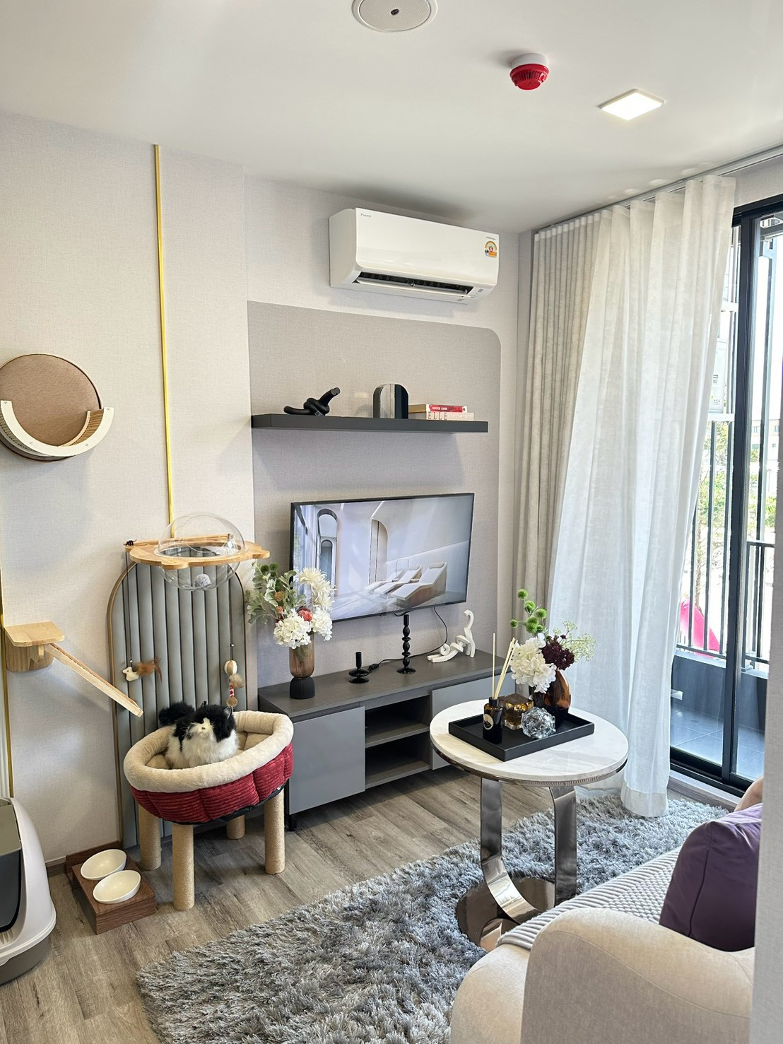Condo down payment for sale: Modiz Vault Kaset-Sripatum | Pet Friendly, pets allowed. Good location next to Kasetsart University fence - BTS Bang Bua. Condo down payment for sale: Modiz Vault Kaset-Sripatum | Pet Friendly, pets allowed. Good location next to Kasetsart University fence - BTS Bang Bua.