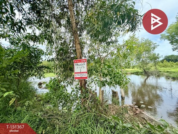 Land for sale, area 3 rai 1 ngan 5 sq m, Tha Mai, Chanthaburi.