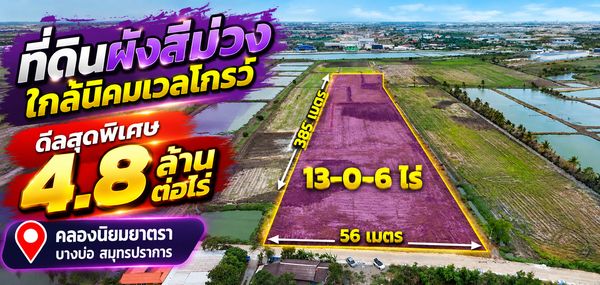 Purple land plan Near Wellgrow Industrial Estate, 13 rai, price 4.8 million/rai.