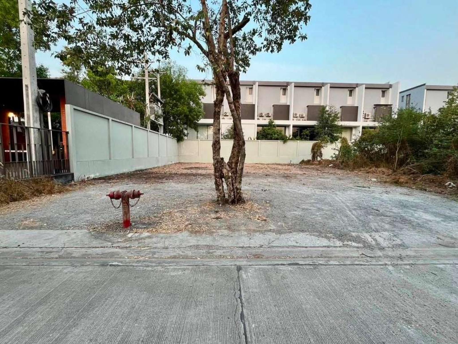ที่ดิน ซอยรามคำแหง 118 / 109 ตร.วา (ขาย), Land plot in Soi Ramkhamhaeng 118 / 109 Square Wa (FOR SALE) GRET034 ที่ดิน ซอยรามคำแหง 118 / 109 ตร.วา (ขาย), Land plot in Soi Ramkhamhaeng 118 / 109 Square Wa (FOR SALE) GRET034