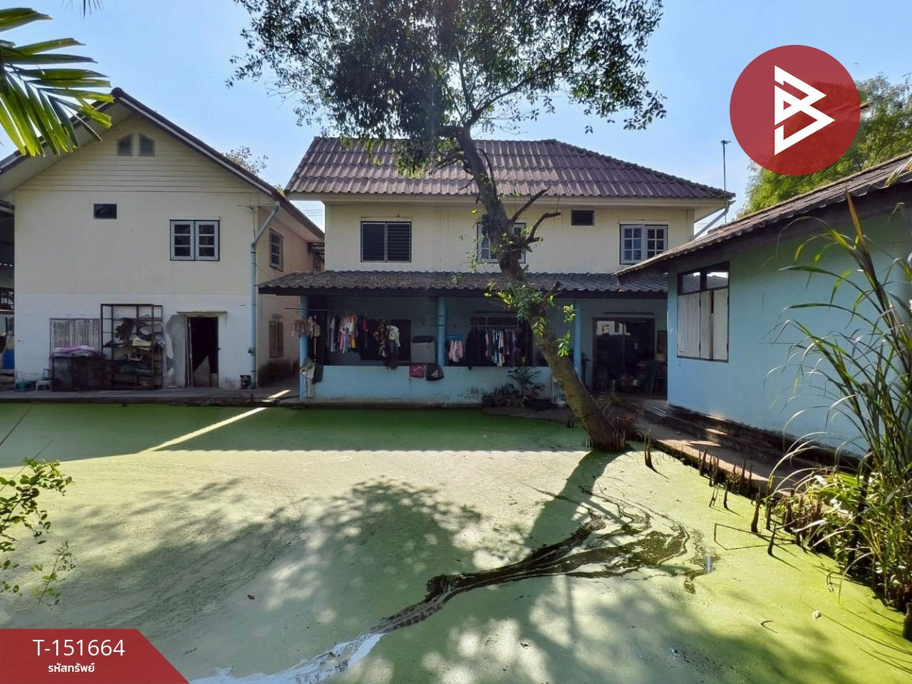 ขายบ้านเดี่ยวพร้อมที่ดิน เนื้อที่ 232.5 ตร.วา บางยาง กระทุ่มแบน สมุทรสาคร – รูปที่ 4