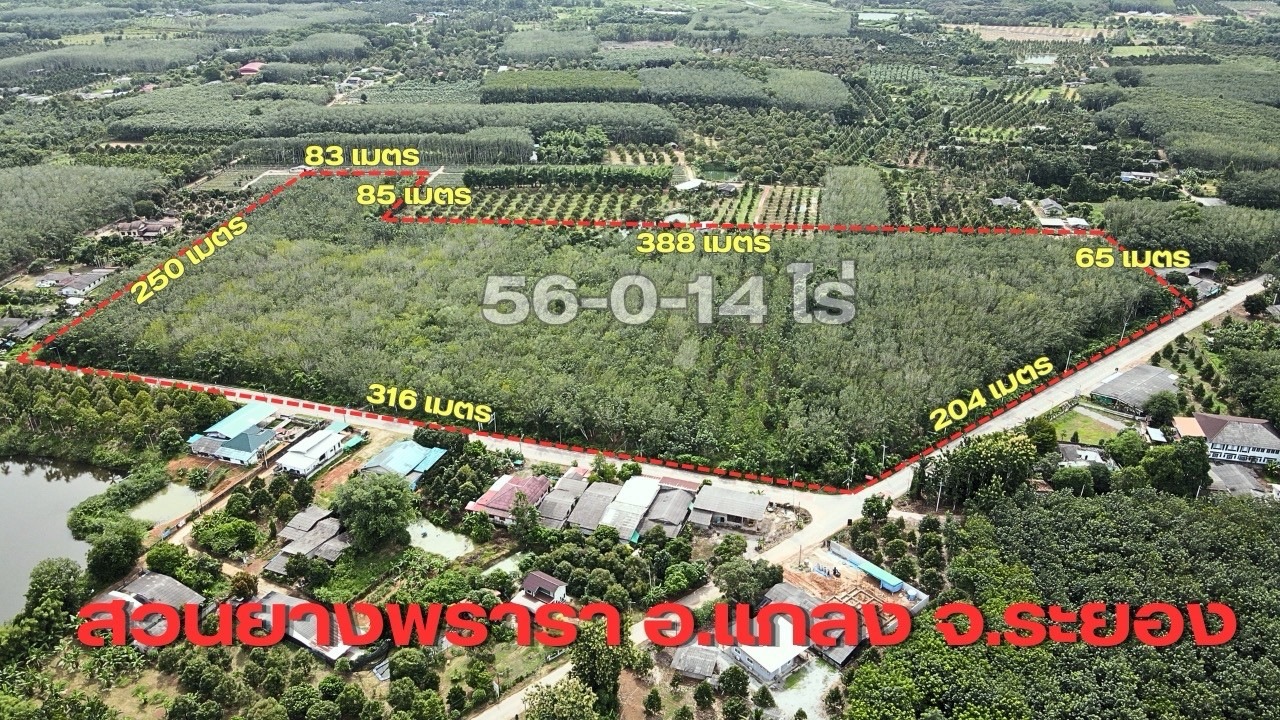 Beautiful land for sale, next to the road on 2 sides, price lower than market. Suitable for making long-term profits Beautiful land for sale, next to the road on 2 sides, price lower than market. Suitable for making long-term profits