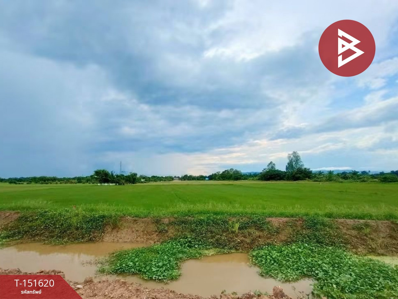 Land for sale, area 2 rai 2 ngan, Ban Ko, Uttaradit. – รูปที่ 2