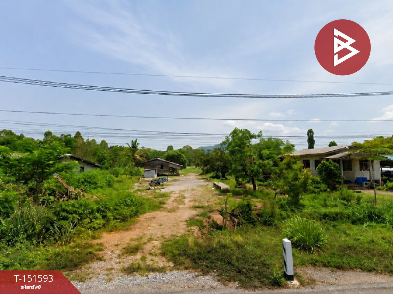 ขายที่ดิน เนื้อที่ 1 ไร่ 28 ตร.วา ทองแสนขัน อุตรดิตถ์ – รูปที่ 3
