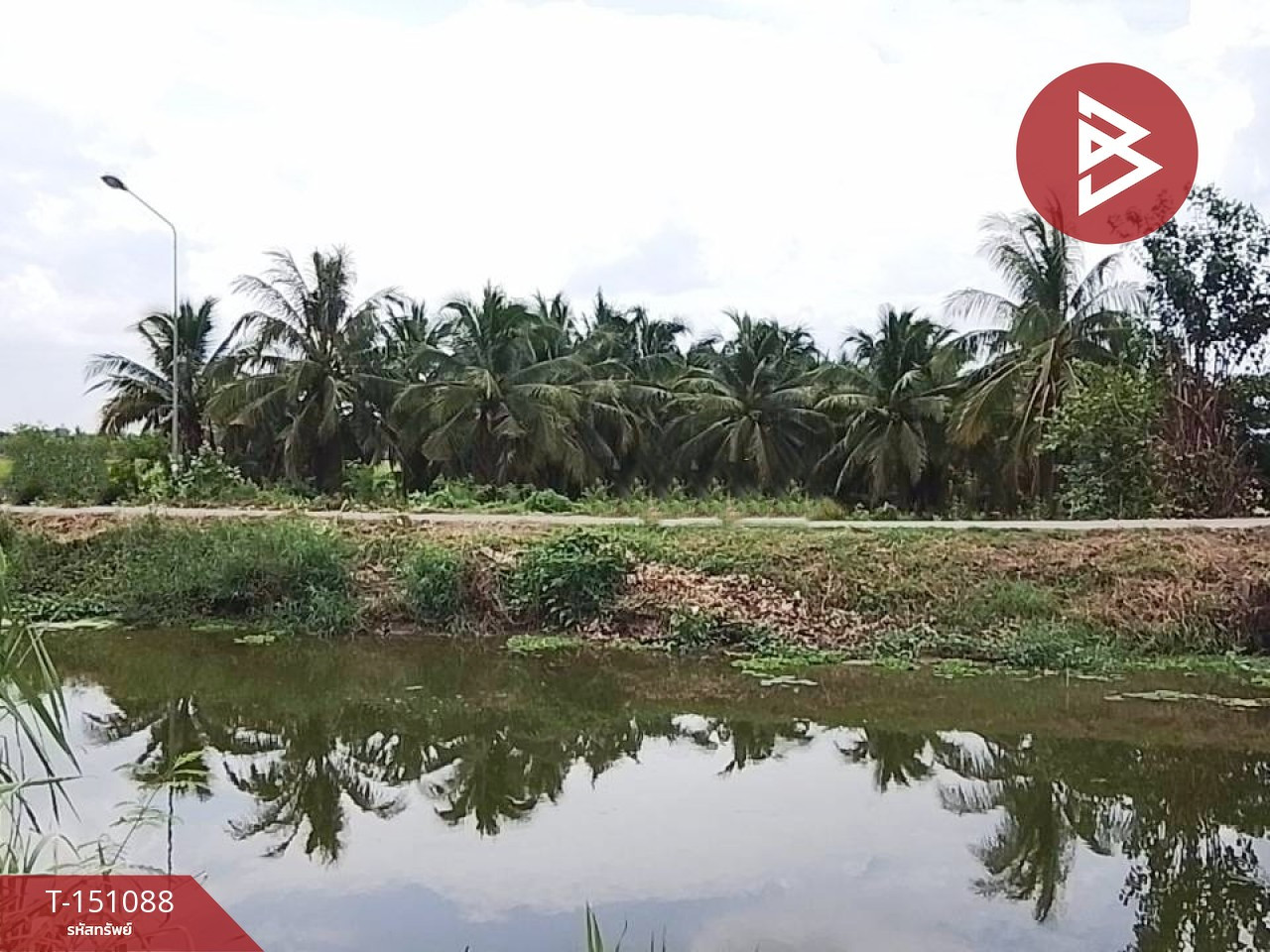 ขายที่ดิน เนื้อที่ 5 ไร่ 51 ตร.วา ปากท่อ ราชบุรี – รูปที่ 2