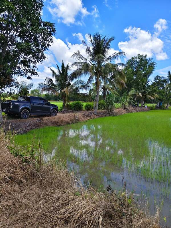  ขายที่ดินแปลงสวย (ที่นา) ทำเลศักยภาพ ต. เกาะขนุน อำเภอพนมสารคาม จังหวัดฉะเชิงเทรา   – รูปที่ 4