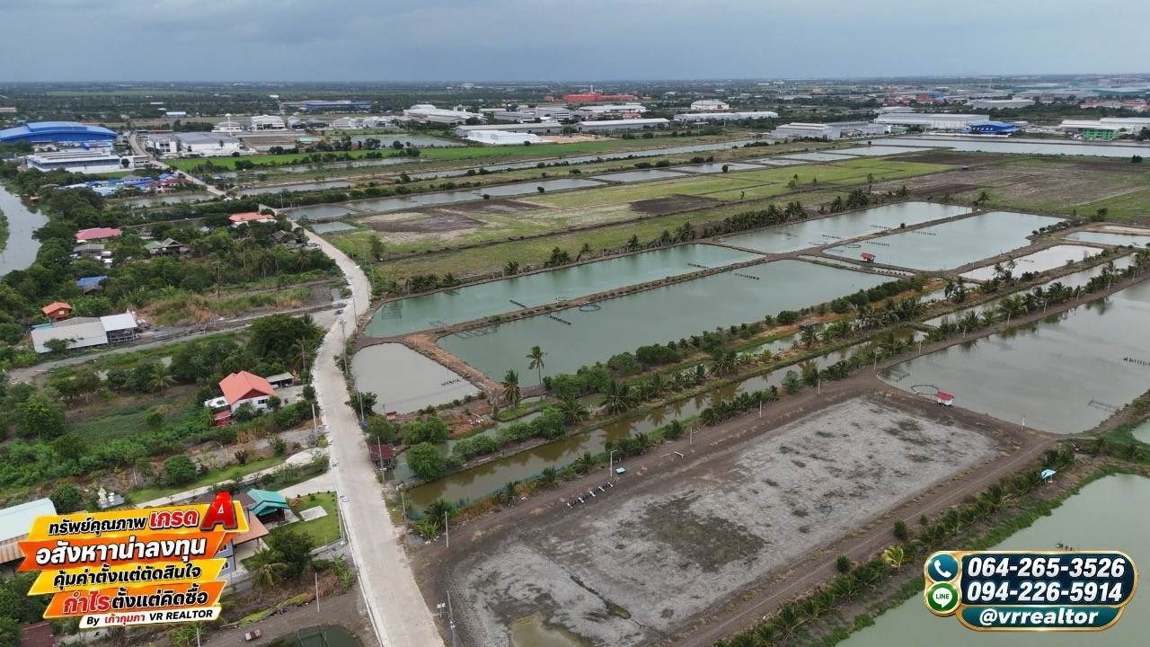 Purple plot land for sale, 25-1-61.7 rai, near Wellgrow Industrial Estate. Niyom Yatra Canal Industrial location, high potential – รูปที่ 4