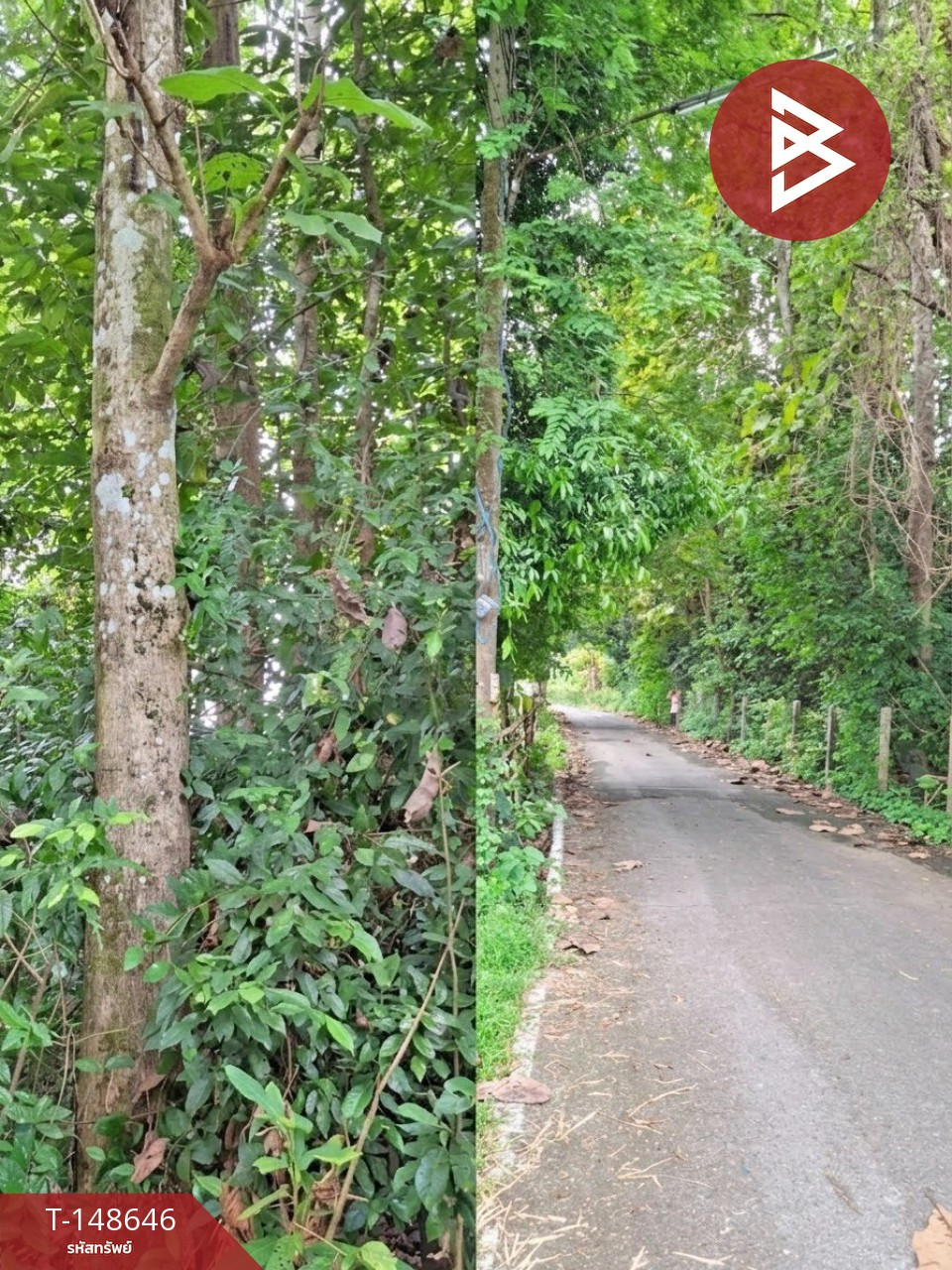 ขายที่ดิน เนื้อที่ 3 งาน 60.5 ตร.วา ปากพลี นครนายก  – รูปที่ 3
