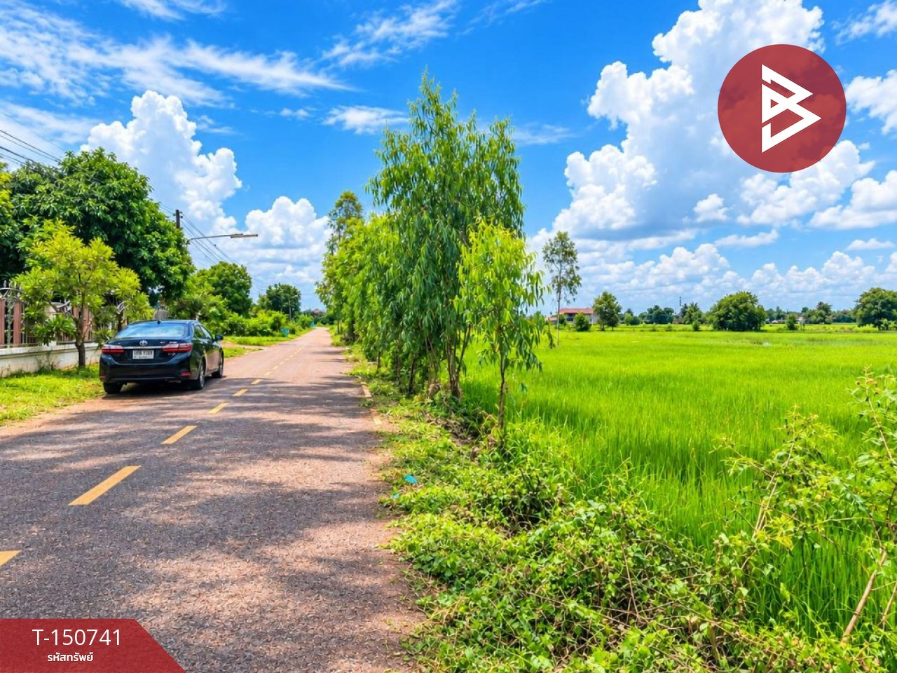 ขายที่ดิน เนื้อที่ 3 ไร่ 1 งาน 33.7 ตร.วา ธาตุพนม นครพนม – รูปที่ 2