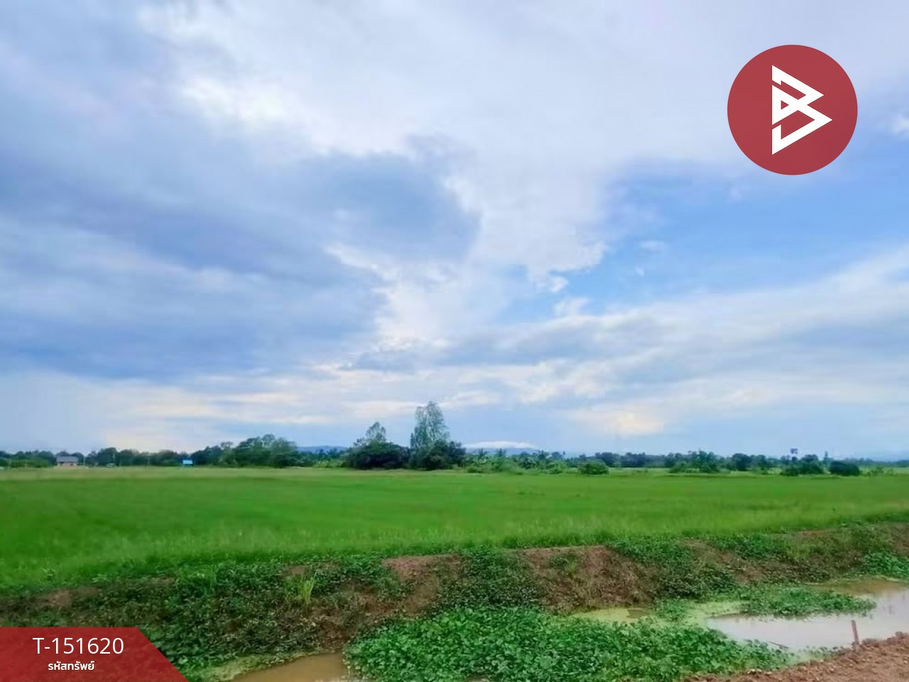 Land for sale, area 2 rai 2 ngan, Ban Ko, Uttaradit. – รูปที่ 4