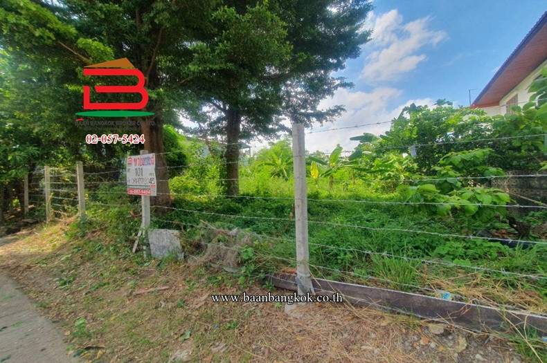 ที่ดินเปล่า หมู่บ้านสินธร รังสิต (ซอย D1,D2) เนื้อที่ 101 ตรว. ใกล้ดูโฮม บางพูน ตำบลบางพูน อำเภอเมืองปทุมธานี จังหวัดปทุมธานี – รูปที่ 3