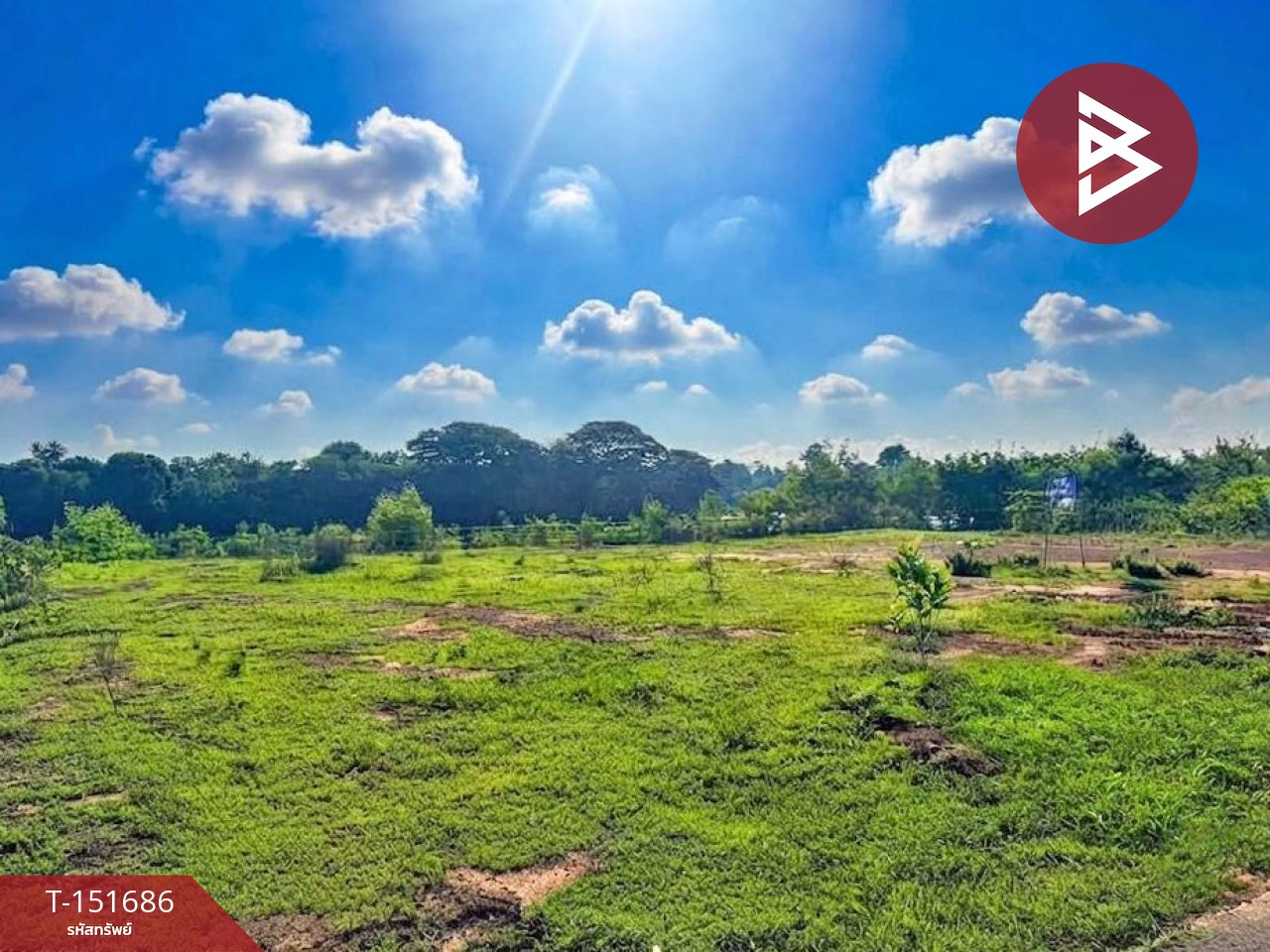 ขายที่ดินถมเเล้ว เนื้อที่ 210 ตร.วา ดอนตาล มุกดาหาร ติดริมแม่น้ำโขง ขายที่ดินถมเเล้ว เนื้อที่ 210 ตร.วา ดอนตาล มุกดาหาร ติดริมแม่น้ำโขง