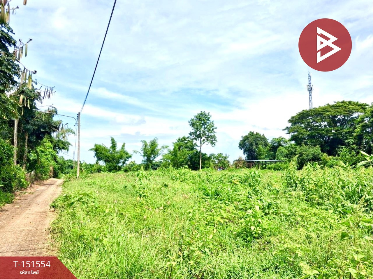 Land for sale, area 1 rai 3 ngan 72 sq m, Ban Ko, Uttaradit. Land for sale, area 1 rai 3 ngan 72 sq m, Ban Ko, Uttaradit.