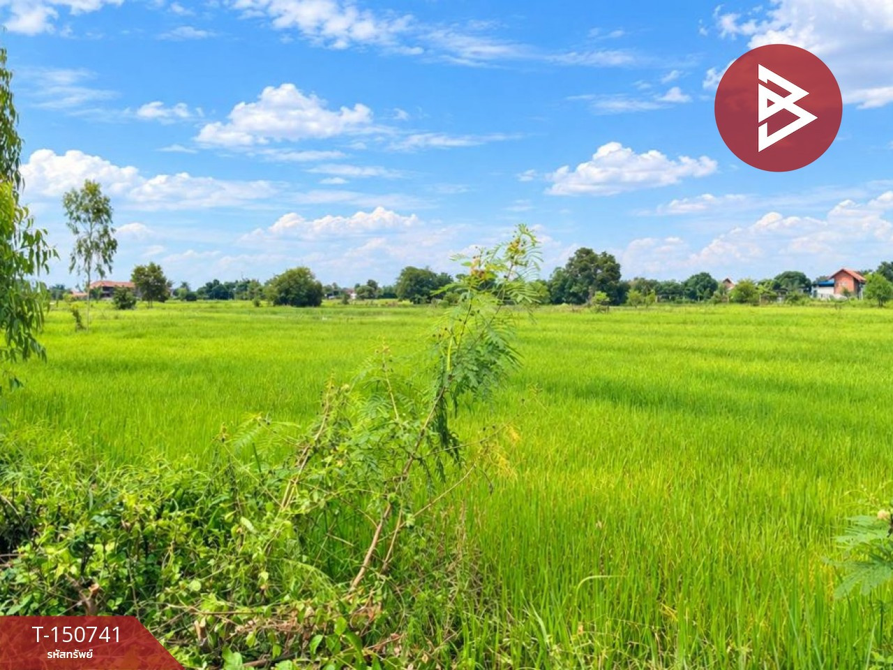 ขายที่ดิน เนื้อที่ 3 ไร่ 1 งาน 33.7 ตร.วา ธาตุพนม นครพนม – รูปที่ 3