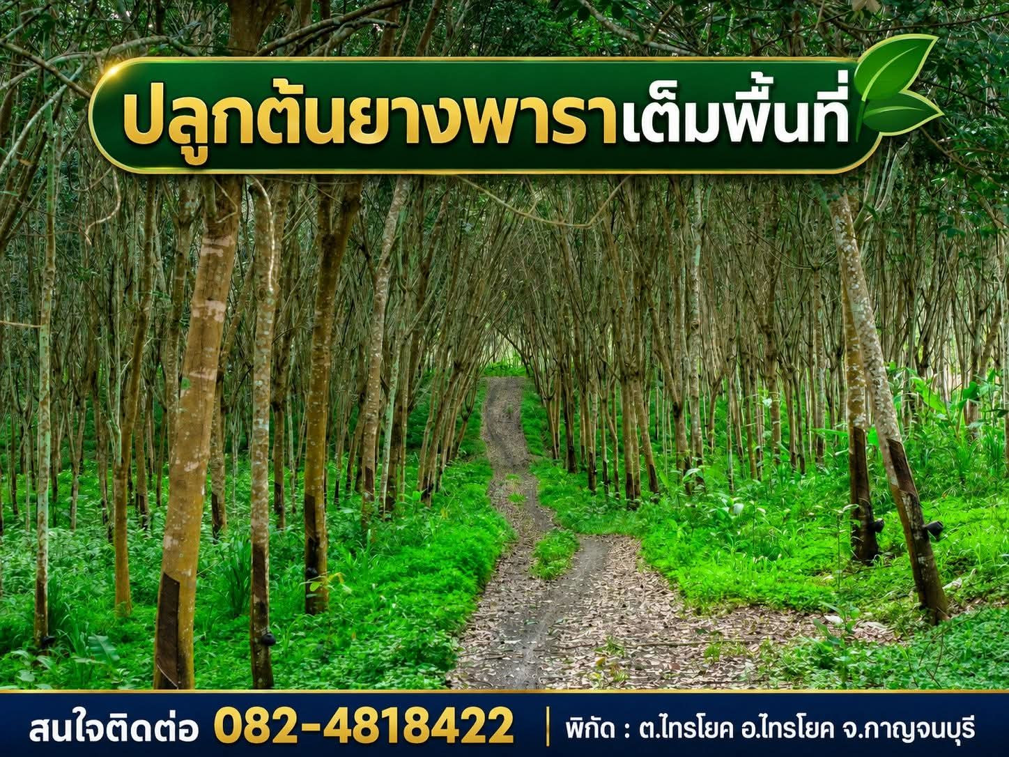 ขายที่ดินติดแม่น้ำแควน้อย 75 ไร่ มีหาดกรวดเล่นน้ำได้ ทำเลแพรีสอร์ท บ้านสวน ท่องเที่ยวเชิงเกษตร – รูปที่ 3
