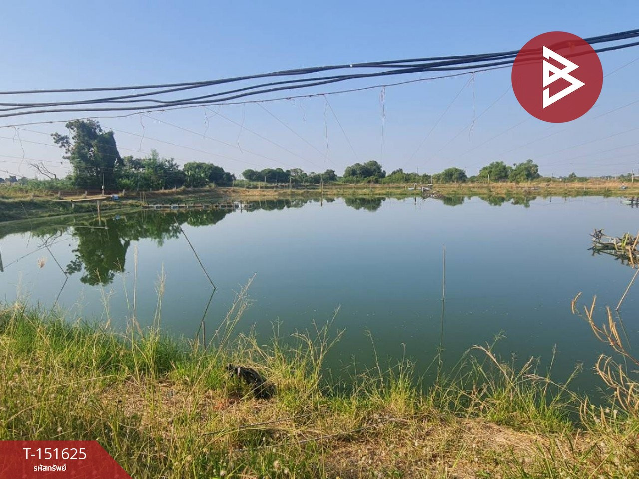 ขายที่ดิน เนื้อที่ 14 ไร่ 44 ตร.วา บ้านสร้าง ปราจีนบุรี – รูปที่ 3