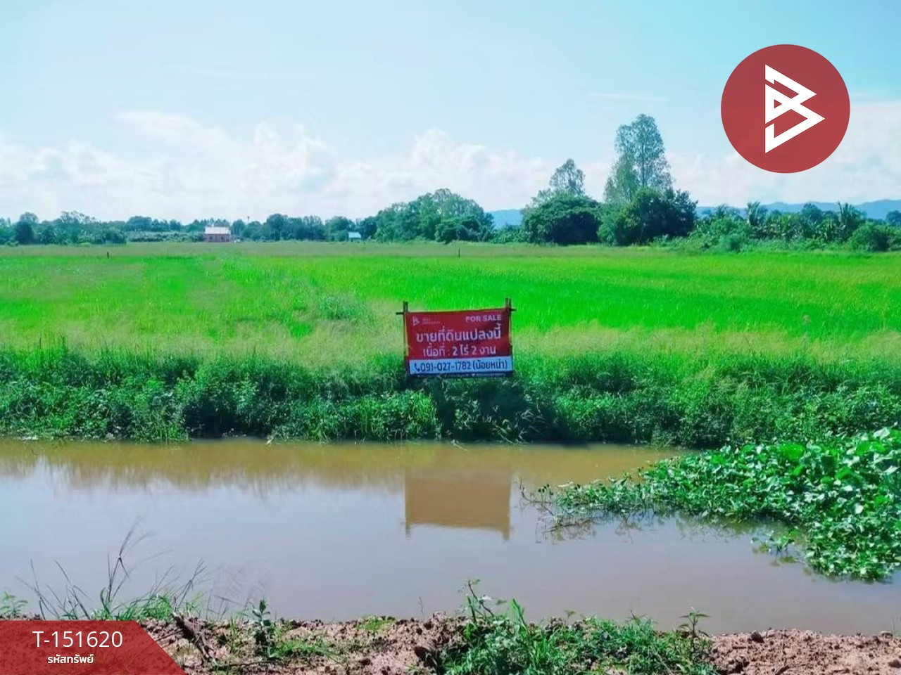 Land for sale, area 2 rai 2 ngan, Ban Ko, Uttaradit. – รูปที่ 3