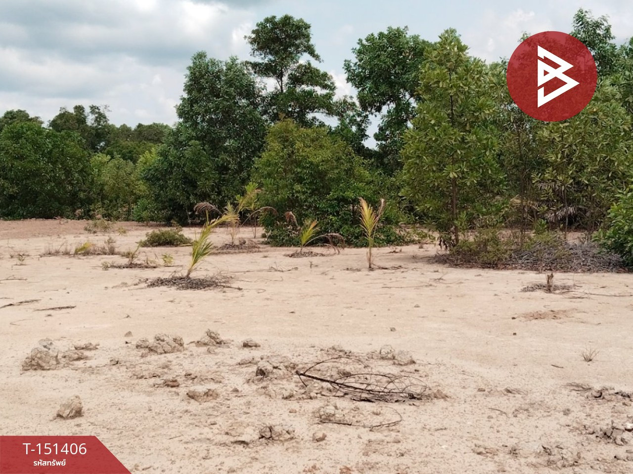Land for sale, area 2 rai 2 ngan 50 square wah, Koh Khwang, Chanthaburi, along Khlong Phakdee Ramphai. Land for sale, area 2 rai 2 ngan 50 square wah, Koh Khwang, Chanthaburi, along Khlong Phakdee Ramphai.