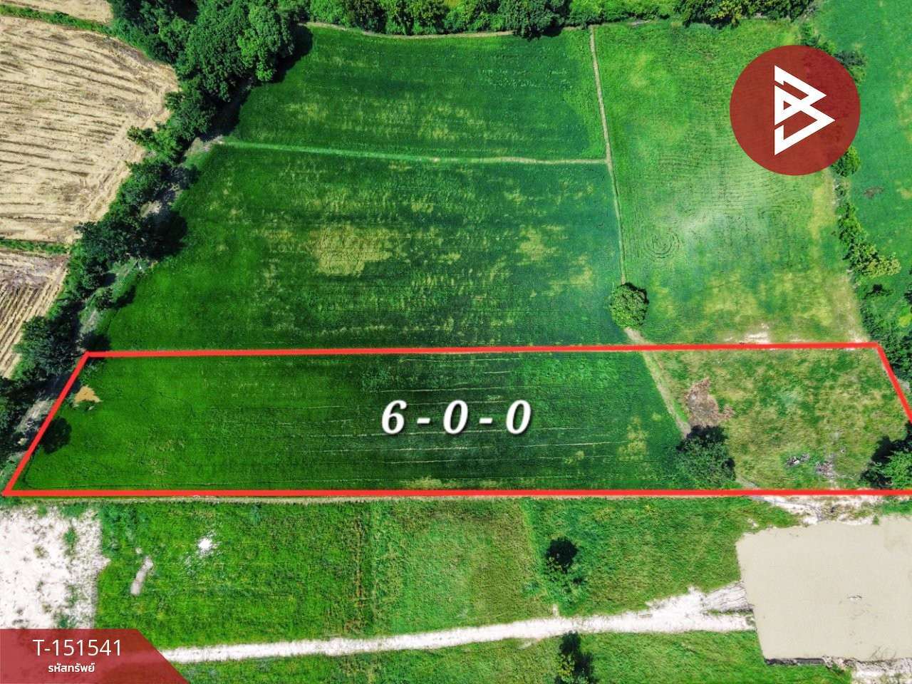Land for sale, area 6 rai, Noen Chaeng, Uthai Thani. – รูปที่ 4