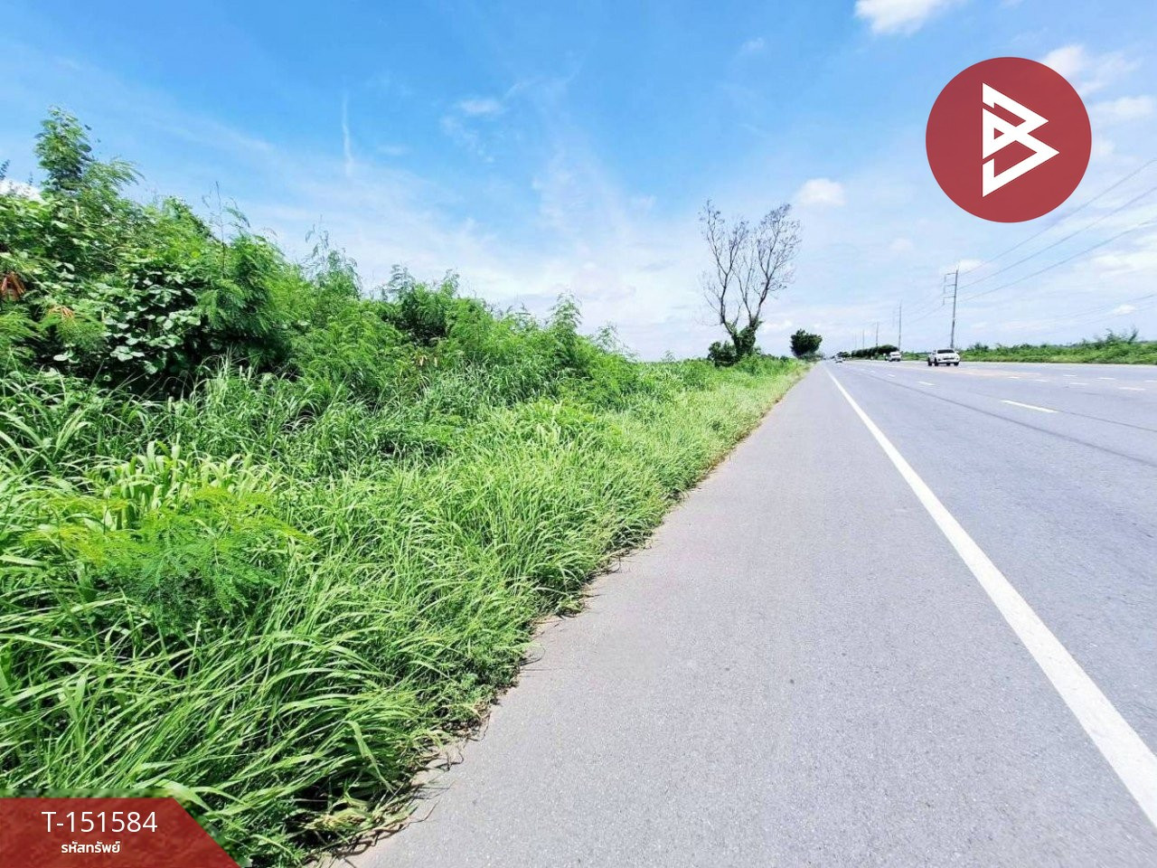ขายที่ดิน เนื้อที่ 4 ไร่ โคกโคเฒ่า สุพรรณบุรี – รูปที่ 3