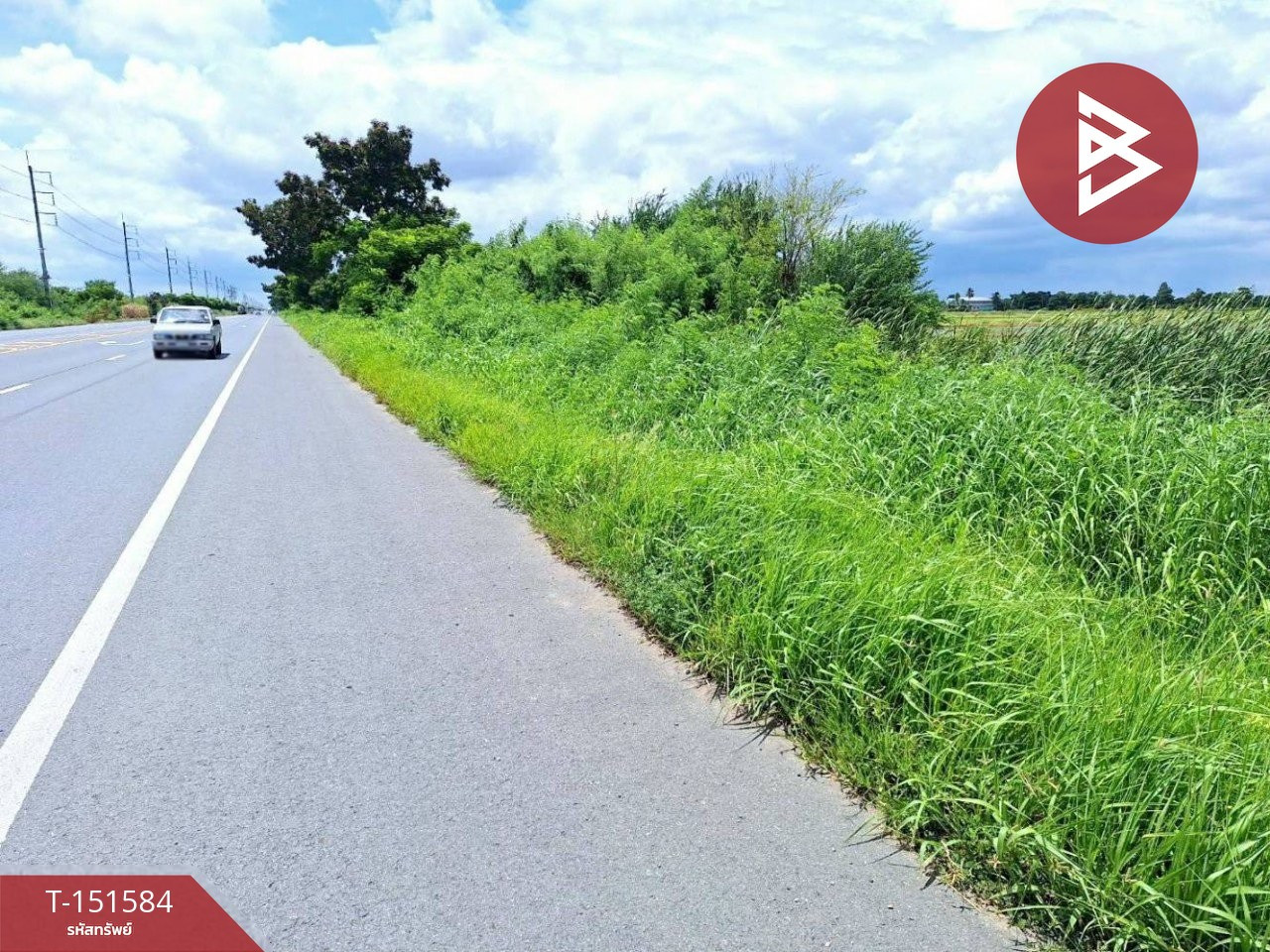 ขายที่ดิน เนื้อที่ 4 ไร่ โคกโคเฒ่า สุพรรณบุรี – รูปที่ 2