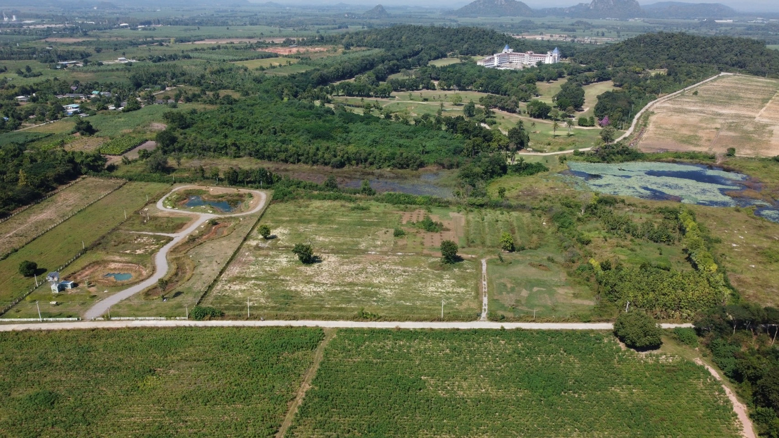 ที่ดินเกษตรแปลงสวย ติดแหล่งน้ำ ดินดี เหมาะแก่การเพาะปลูก จัดสรรโครงการบ้านสวน อ.จอมบึง ราชบุรี ที่ดินเกษตรแปลงสวย ติดแหล่งน้ำ ดินดี เหมาะแก่การเพาะปลูก จัดสรรโครงการบ้านสวน อ.จอมบึง ราชบุรี