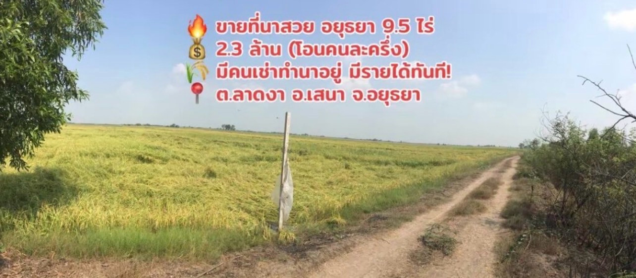 Land for sale in Ayutthaya with tenant!! 9 rai 2 ngan 10 square wah, price 2,300,000 baht, negotiable if interested. Land for sale in Ayutthaya with tenant!! 9 rai 2 ngan 10 square wah, price 2,300,000 baht, negotiable if interested.