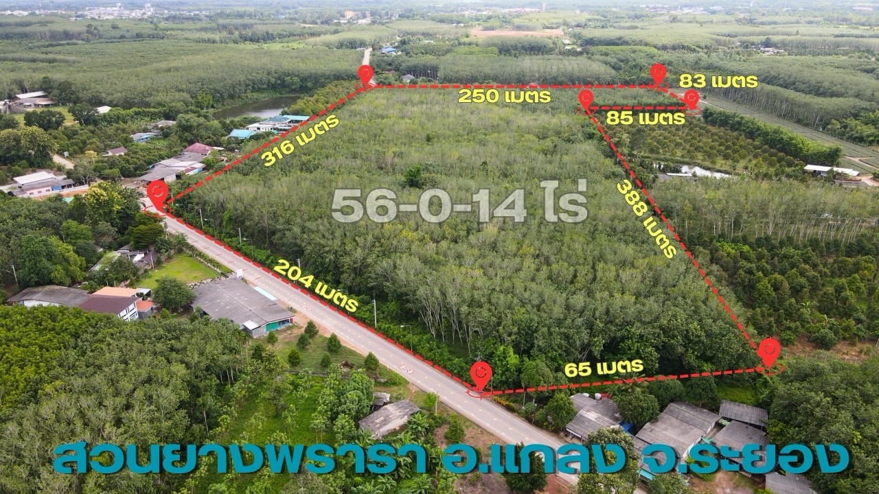 ขายที่ดินสวยยาง ติดถนน 2 ด้าน ราคาต่ำกว่าตลาด เหมาะทำกำไรในระยะยาว – รูปที่ 3